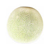 Cantaloupe Melon Fresh Organic Cut