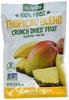 Sensible Foods Fruit Snacks, Tropical Blend, (Pack of 48)