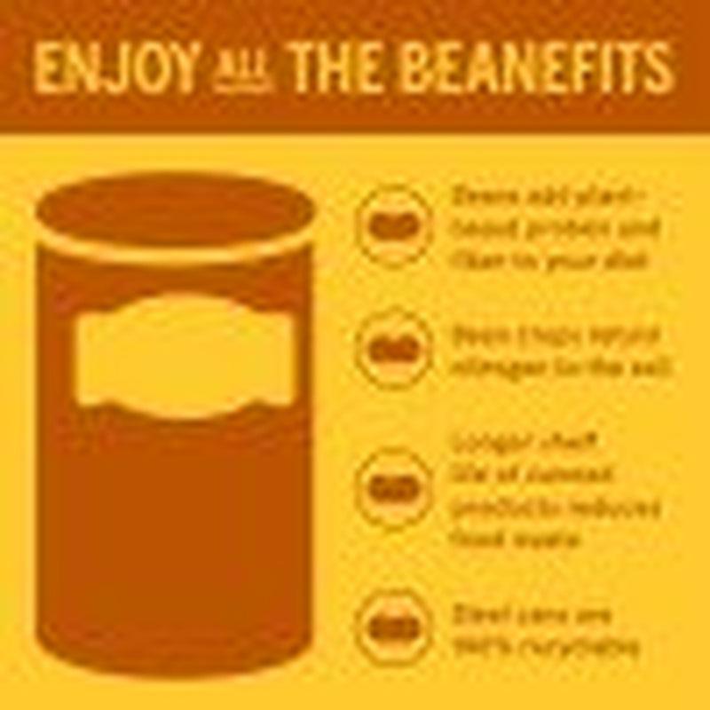 BUSH'S Chili Beans, Pinto Beans in Mild Chili Sauce Canned Beans, 16 Oz