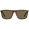 Carrera 8032/S Sunglasses, Brown