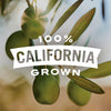 Early California Medium Pitted California Ripe Olives, 6 Oz