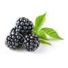 Fresh Blackberries (18 Oz.)