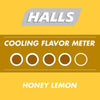 Halls Relief Honey Lemon Sugar-Free Cough Drops, Value Pack (180 Ct.)