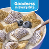 Kellogg'S Frosted Mini-Wheats Blueberry Muffin Cold Breakfast Cereal, 22 Oz