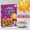 Kellogg'S Raisin Bran Original Breakfast Cereal, 16.6 Oz