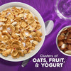 Kellogg'S Special K Fruit and Yogurt Breakfast Cereal, 19.1 Oz