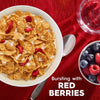 Kellogg'S Special K Red Berries Breakfast Cereal, 16.9 Oz