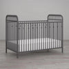 Little Seeds Monarch Hill Ivy Metal Crib, Gray