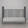 Little Seeds Monarch Hill Ivy Metal Crib, Gray