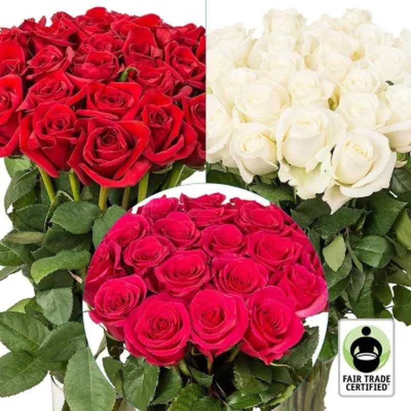 Member'S Mark Fair Trade Roses, 75 Stems (Choose Color Variety)