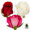 Member'S Mark Fair Trade Roses, 75 Stems (Choose Color Variety)