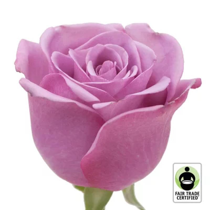 Member'S Mark Fair Trade Roses, 75 Stems (Choose Color Variety)