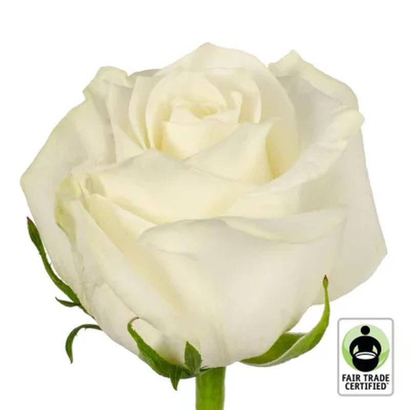 Member'S Mark Fair Trade Roses, 75 Stems (Choose Color Variety)