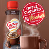 Nestle Coffee Mate Cafe Mocha Liquid Coffee Creamer, 16 Fl Oz