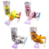 NISSI & JIREH 5-In-1 Detachable Universal Pacifier Holder Teether Bundle