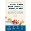 Oatmeal Squares Brown Sugar, 21 Oz