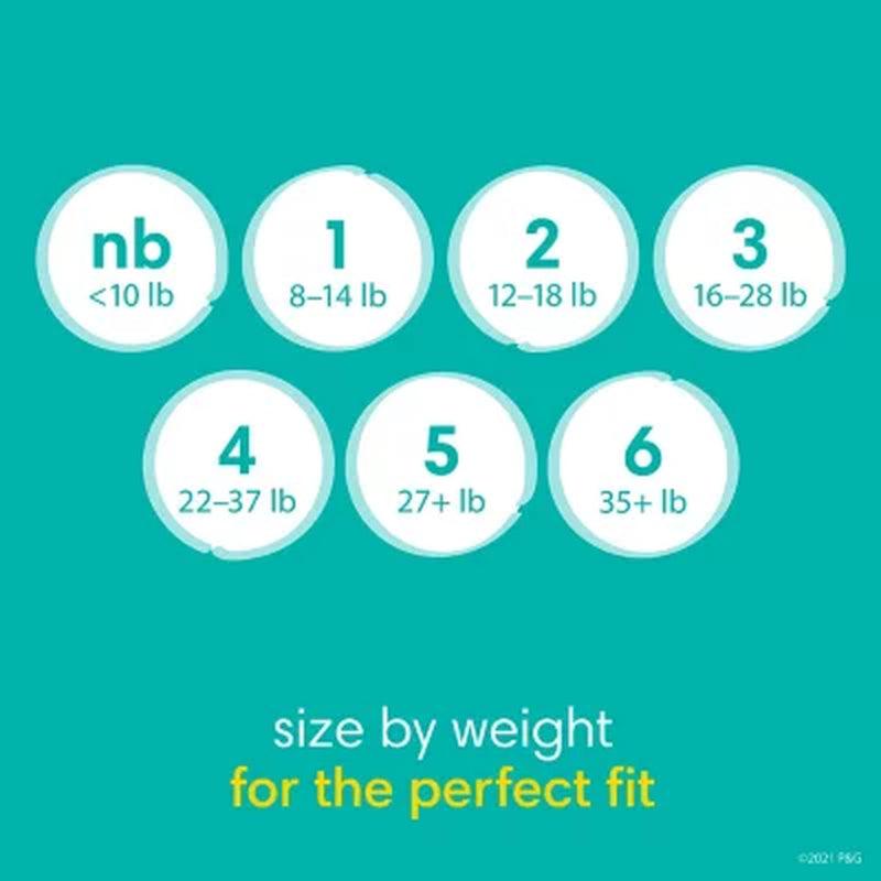 Pampers Baby Dry One-Month Supply Diapers (Choose Your Size)