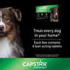 Petarmor plus Capstar Flea & Tick Bundle for Extra Large Dogs, 89 - 132 Lbs.