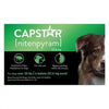 Petarmor plus Capstar Flea & Tick Bundle for Large Dogs, 45-88 Lbs.