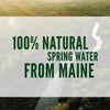 Poland Spring 100% Natural Spring Water (23.7 Fl. Oz., 24 Pk.)