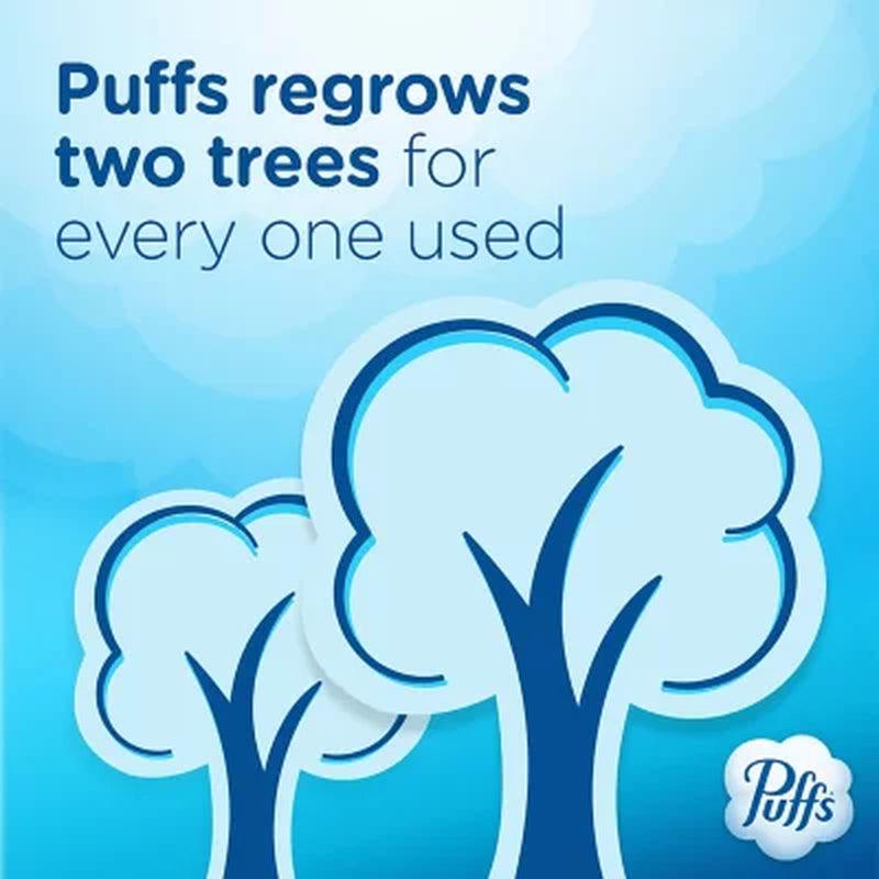 Puffs plus Lotion 2-Ply Facial Tissues, Cube Boxes (72 Tissues/Box, 12 Boxes)