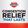 Sinus Congestion 12 Hour Maximum Strength 120 Mg Decongestant, 30 Caplets