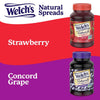 Welch'S Natural Strawberry Spread, 17 Oz Jar