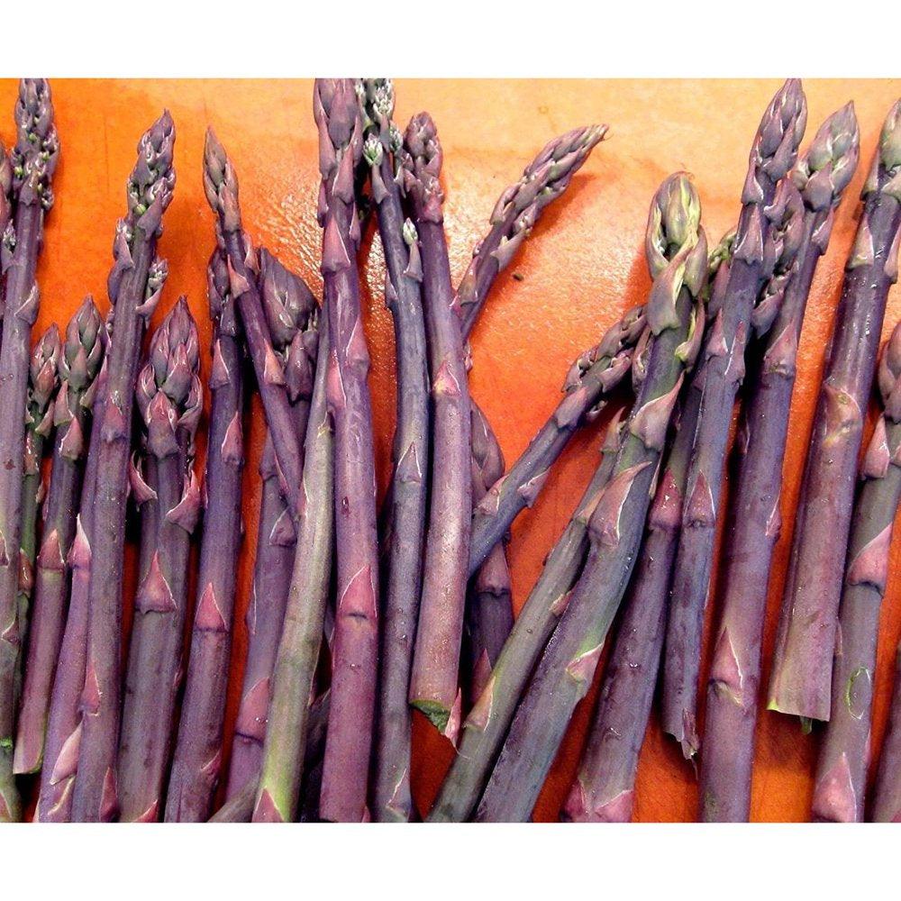 20 Asparagus Crown - Asparagus - Purple Passion 2 Year Roots