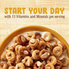 Cheerios Oat Crunch Oats &amp; Honey Oat Breakfast Cereal, Family Size, 24 Oz