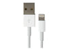 Apple Lightning to USB Cable (2M)