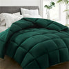 Comforter Queen Green All Season down Alternative, Cooling Quilted Duvet Insert, Bed Comforter with Corner Tabs, Washable Hypoallergenic Reversible Quilt