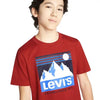 Levi'S Boys' 2 Pack Graphic Tee