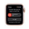 Apple Watch SE (1St Gen) GPS + Cellular 40Mm Gold Aluminum Case Starlight Sport Band - Regular with Family Set Up