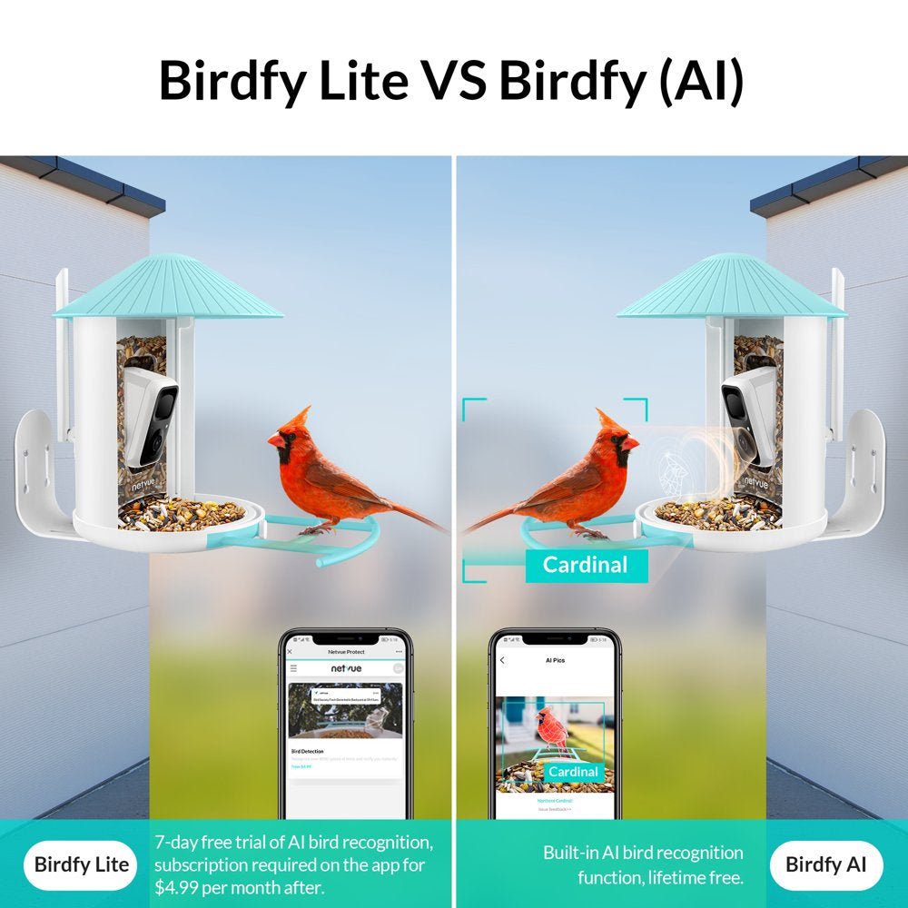 Bird Feeder with Camera, Outdoor Smart Cameras with Solar Netvue Birdfy Lite for Bird Watching, Yellow