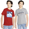 Levi'S Boys' 2 Pack Graphic Tee