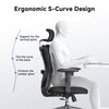 SIHOO Ergonomic Office Chair, Mesh Computer Desk Chair with Adjustable Lumbar Support, High Back Chair for Big and Tall, Black