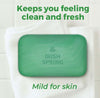 Irish Spring Bar Soap, Original Clean (4 Oz., 20 Ct.) Free Shipping