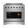 NXR Stainless Steel 36 In. Professional Style Dual Fuel Range with Convection Oven