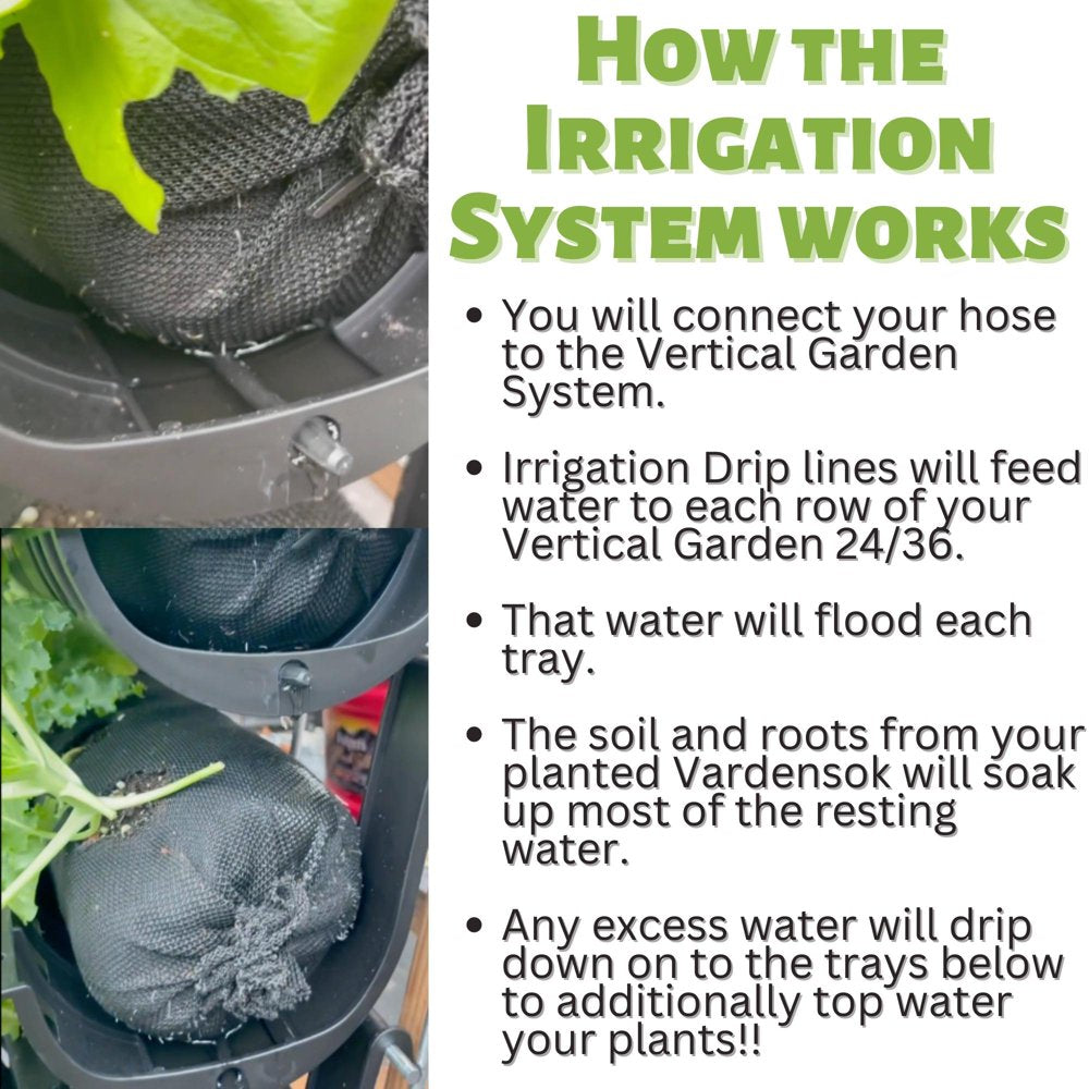 Varden Vertical Garden 24 - Self Watering, 4 Row, 24 Plant, Wall Mountable Garden Planter - 2Ft X 2Ft