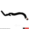 Motorcraft Expansion Tank Hose