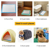 Petfamily Dog Training Pads Super Absorbent--22" X 22", 100 Count, for Small to Medium Dogs