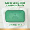 Irish Spring Bar Soap, Original Clean (4 Oz., 20 Ct.) Free Shipping