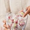 Lindt Lindor Holiday White Chocolate Peppermint Truffles (19 Oz.)