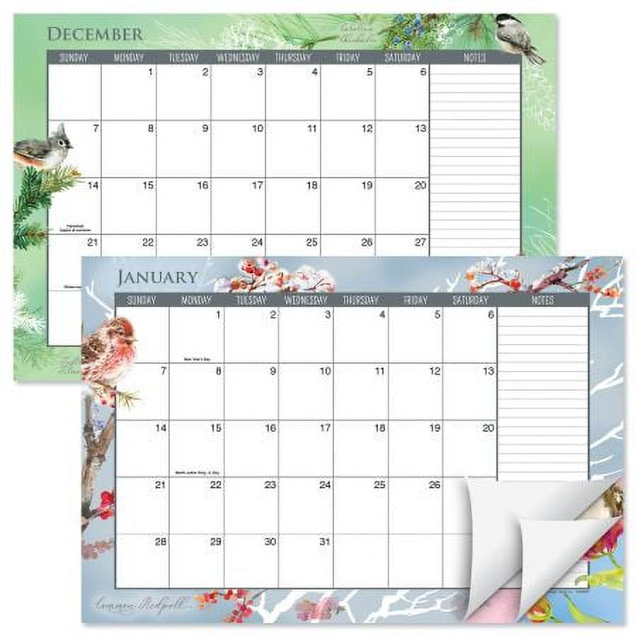 2024-2025 a Year of Birds Desk Calendar Pad, 11-Inch X 16-1/4-Inch Size, Large 24-Month Bookstore-Quality Calendars for Kitchen & Office, by Current