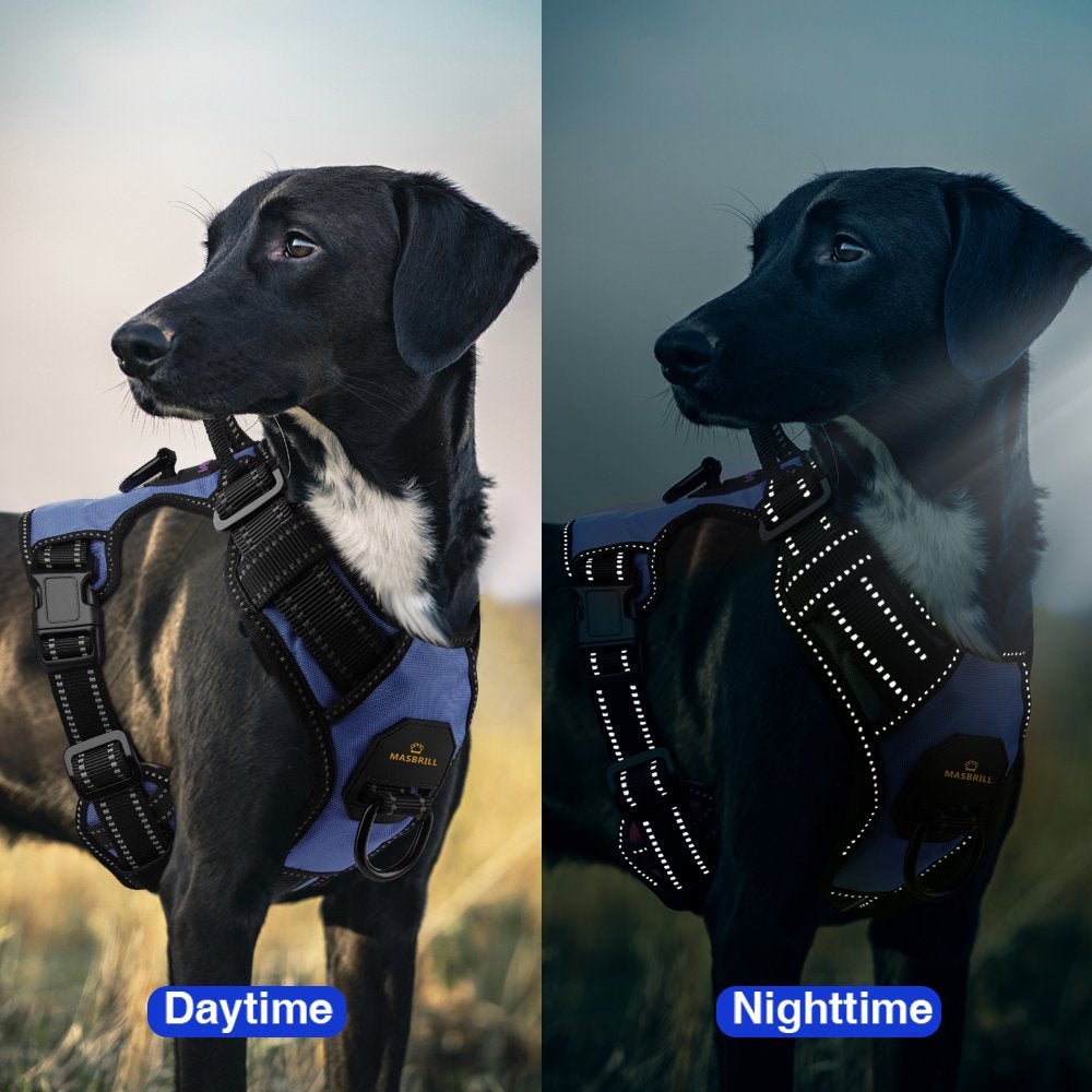 MASBRILL Reflective Dog Harness No Pull Dog Vest Harness with Handle, Breathable Padded Dog Chest Harness Adjustable for Small Medium Large Dog-Blue