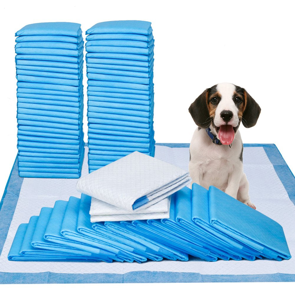 Petfamily Dog Training Pads Super-Absorbent 22 in X 23 In, 100 Count, for Medium to Large Size Dog