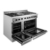 NXR 48 In. Professional Style Dual Fuel Range with Convection Oven