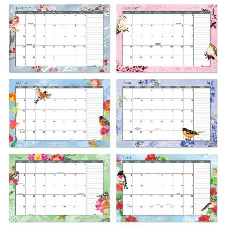 2024-2025 a Year of Birds Desk Calendar Pad, 11-Inch X 16-1/4-Inch Size, Large 24-Month Bookstore-Quality Calendars for Kitchen & Office, by Current