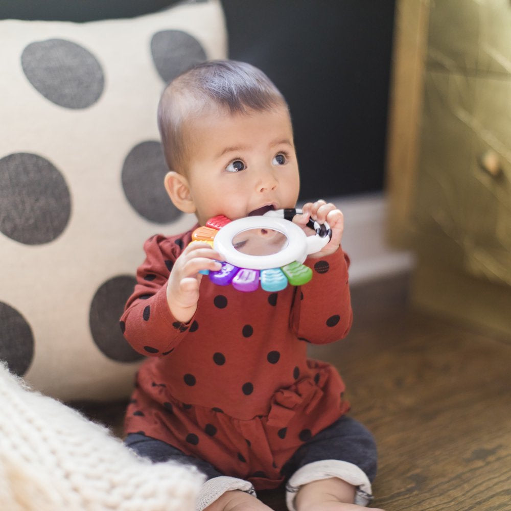 Baby Einstein Outstanding Opus the Octopus Chillable Baby Rattle & Teether Sensory Toy, Unisex, Multicolored