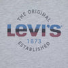 Levi'S Boys' 2 Pack Graphic Tee